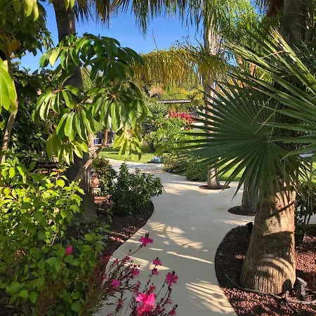 ベッド・アンド・ブレックファスト One Thousand Waves モライラ