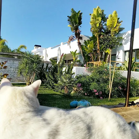 One Thousand Waves 3* モライラ