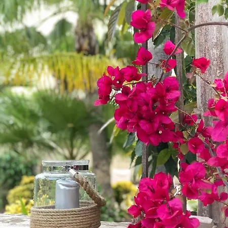 Bed & Breakfast One Thousand Waves Moraira