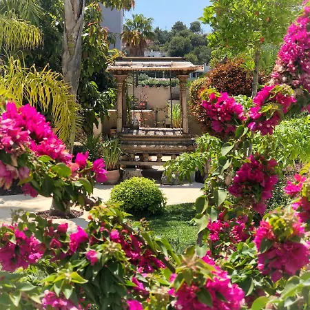 One Thousand Waves 3*