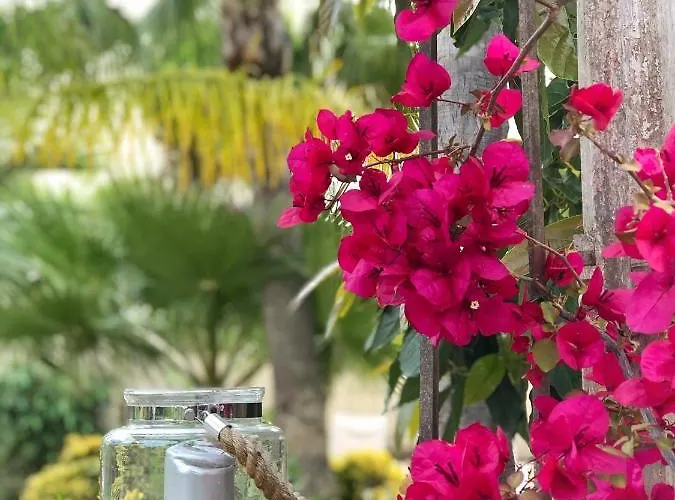 Couette-café One Thousand Waves Moraira