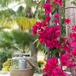 Bed & Breakfast One Thousand Waves Moraira