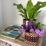 Bed & Breakfast One Thousand Waves 3*