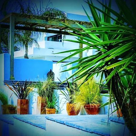 One Thousand Waves 3*